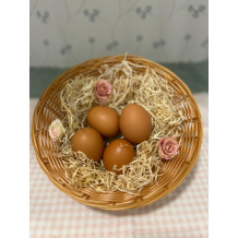 Bio-Eier (einzeln, 6er Pack oder 10er Pack)