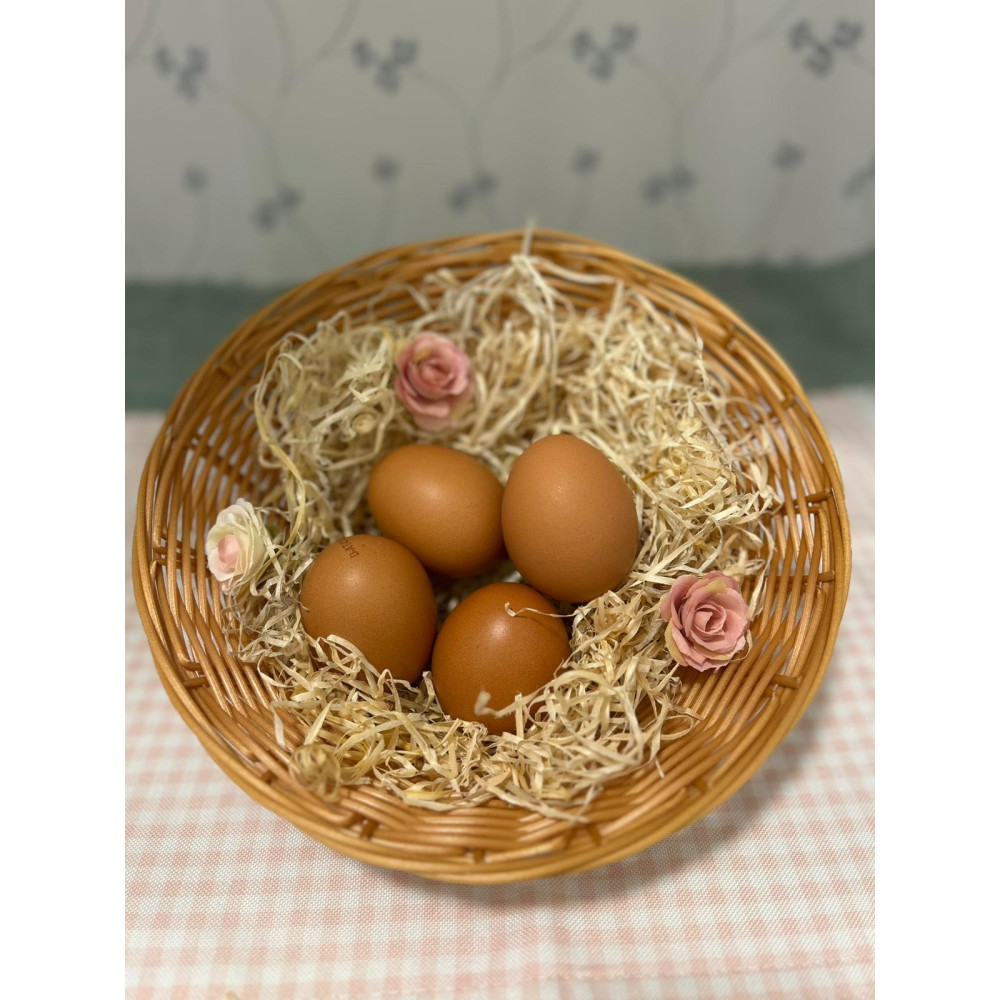 Bio-Eier (einzeln, 6er Pack oder 10er Pack)